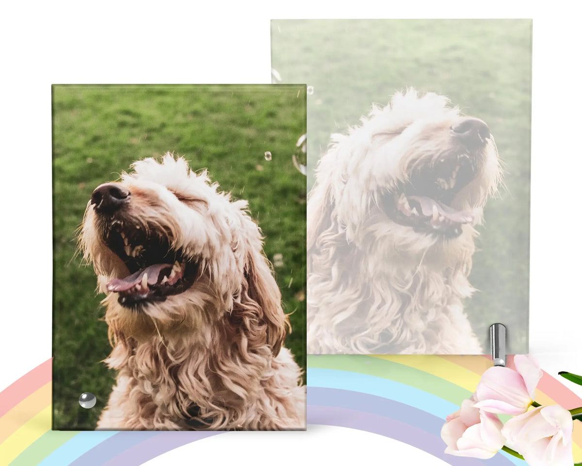 Pet Glass Picture Frame   Pet Remembrance Photo Glass Portrait