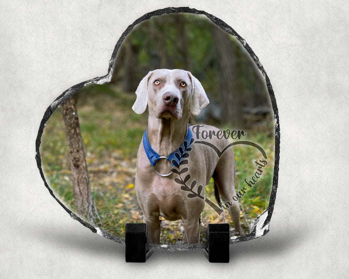 Pet loss Gift Custom Dog Memorial Stone Photo Heart Shape Slate  My Angel Has Paws Picture Keepsake Memorial Slates